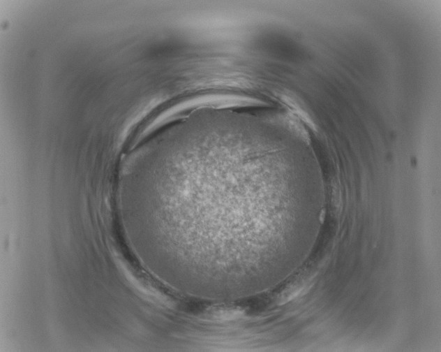 X0000069410491200605192307