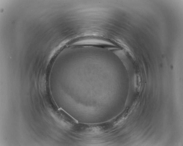 X0000069410492200605192307