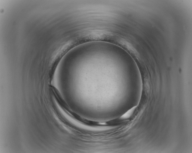 X0000069410493200605192307