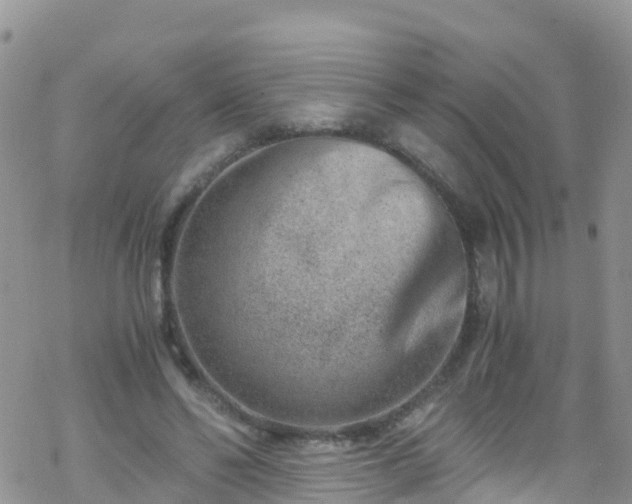 X0000069410494200605192307