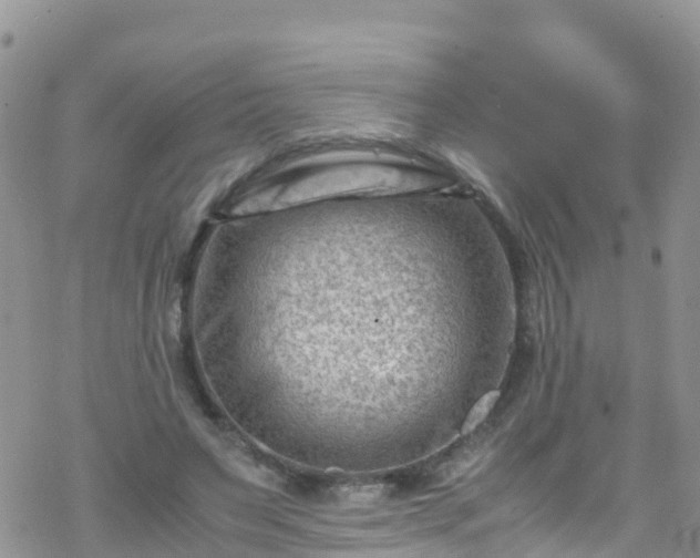 X0000069410495200605192307