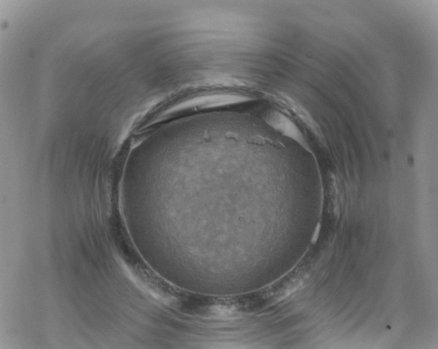 X0000069410496200605192307