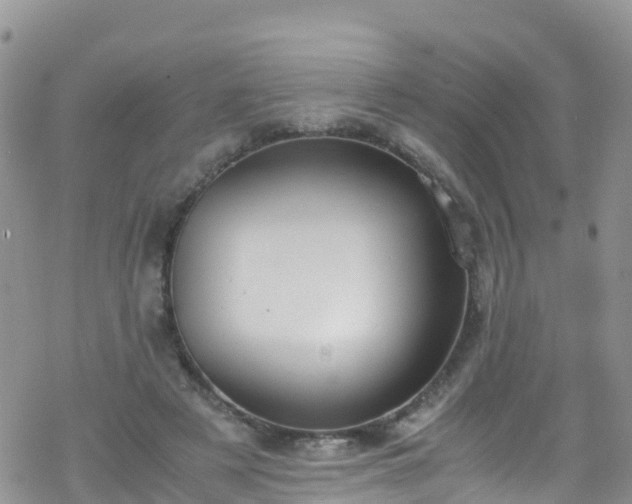 X0000069410497200605192307