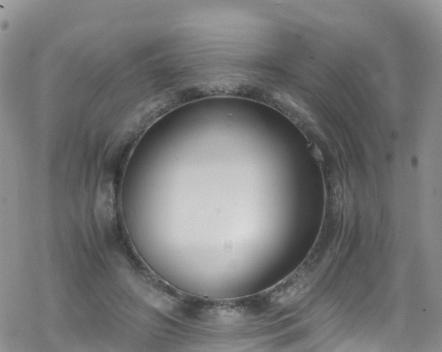 X0000069410498200605192307