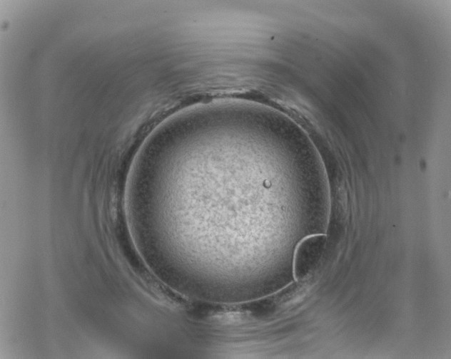 X0000069410499200605192307