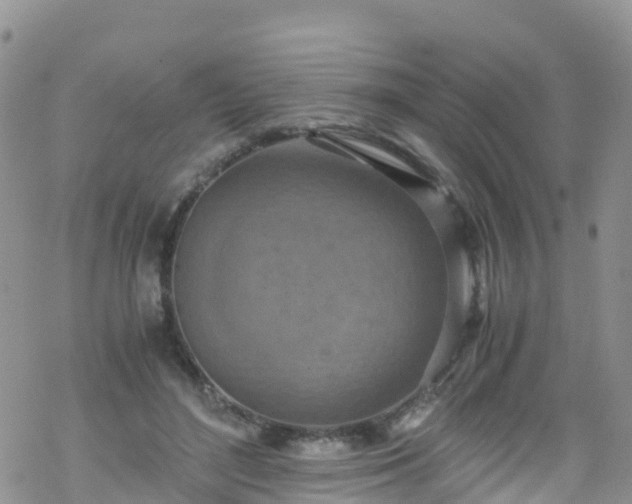 X0000069410500200605192307