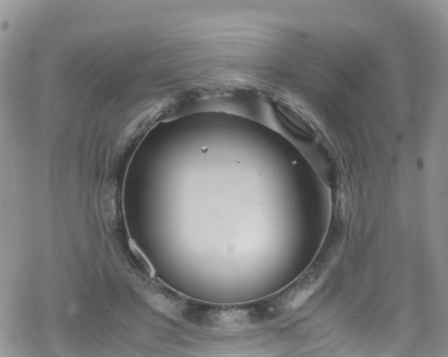 X0000069410501200605192307