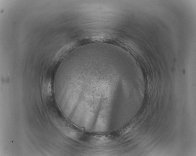 X0000069410502200605192307