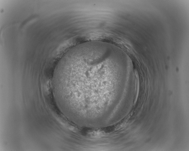 X0000069410503200605192307