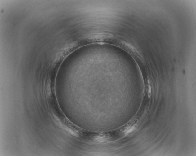 X0000069410504200605192307