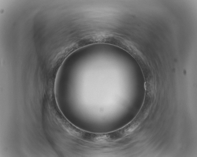 X0000069410505200605192307