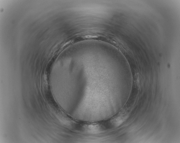 X0000069410506200605192307