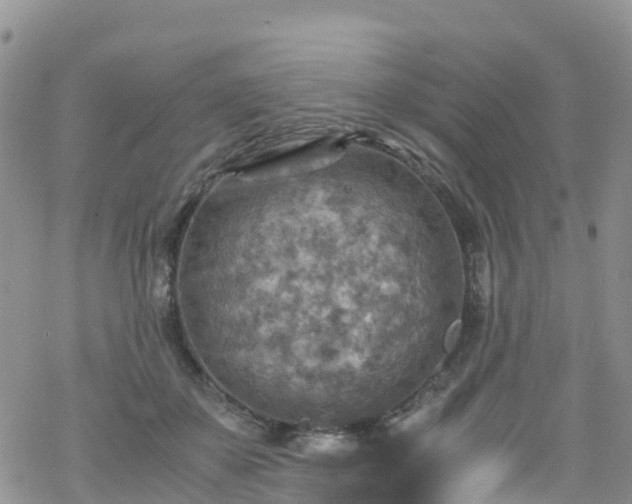 X0000069410507200605192307