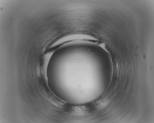 X0000069410508200605192307