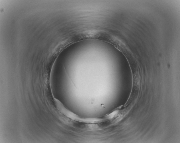 X0000069410509200605192307