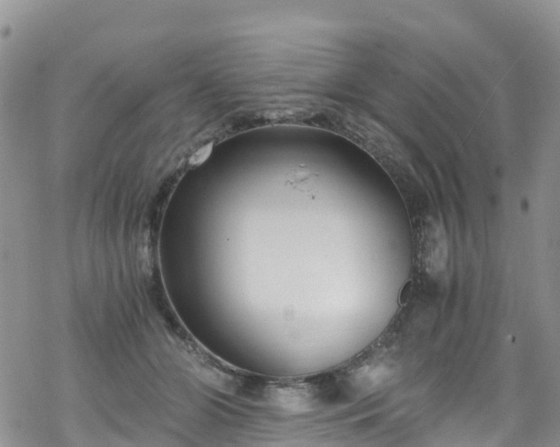 X0000069410510200605192307