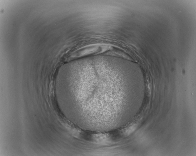 X0000069410511200605192307