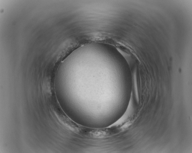 X0000069410512200605192307