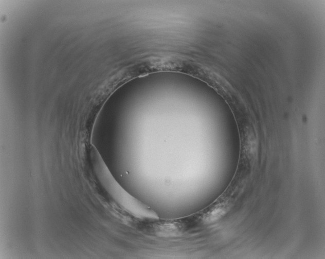 X0000069410513200605192307