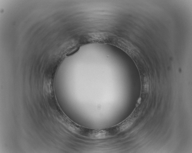 X0000069410514200605192307