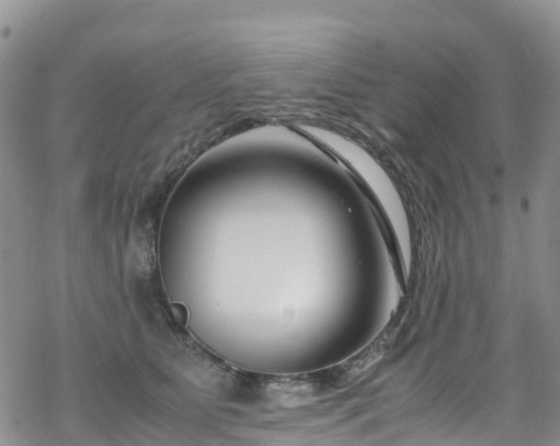 X0000069410515200605192307