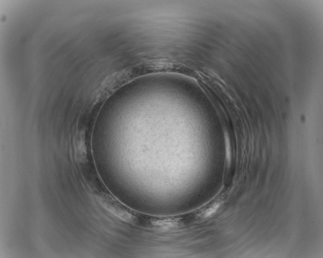 X0000069410516200605192307