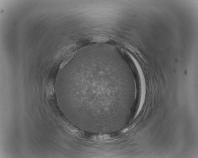 X0000069410517200605192307