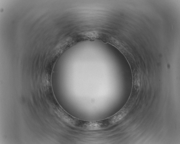 X0000069410518200605192307