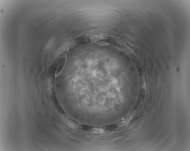 X0000069410519200605192307