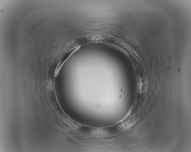 X0000069410521200605192307