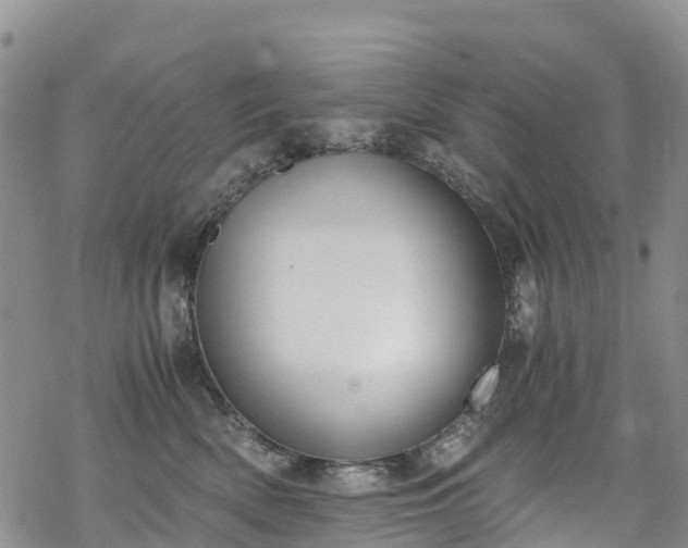 X0000069410522200605192307