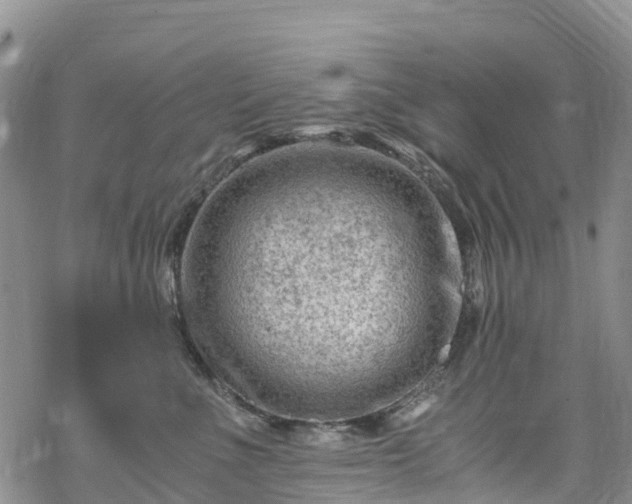 X0000069410523200605192307