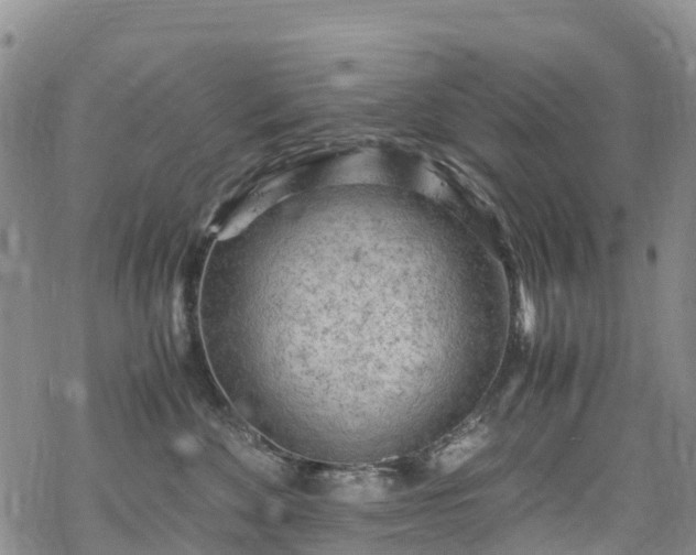 X0000069410524200605192307