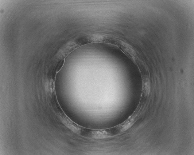 X0000069410525200605192307