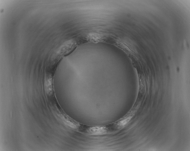 X0000069410526200605192307