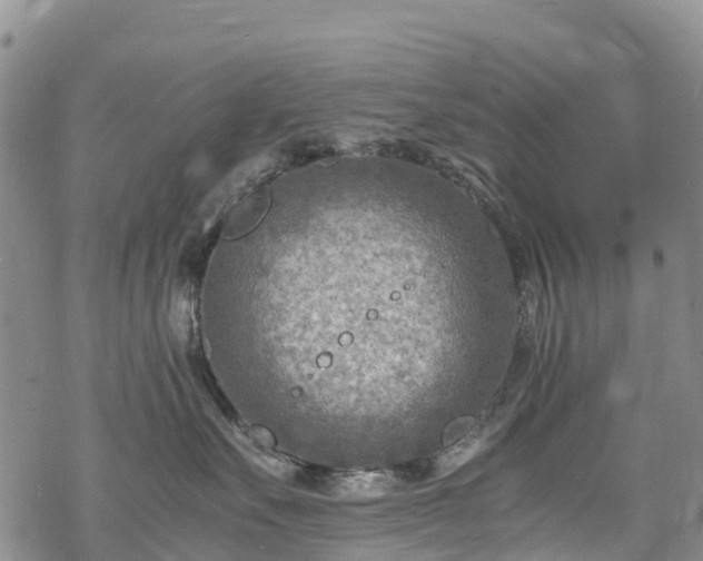 X0000069410527200605192307