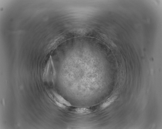 X0000069410528200605192307