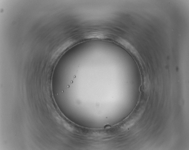 X0000069410529200605192306