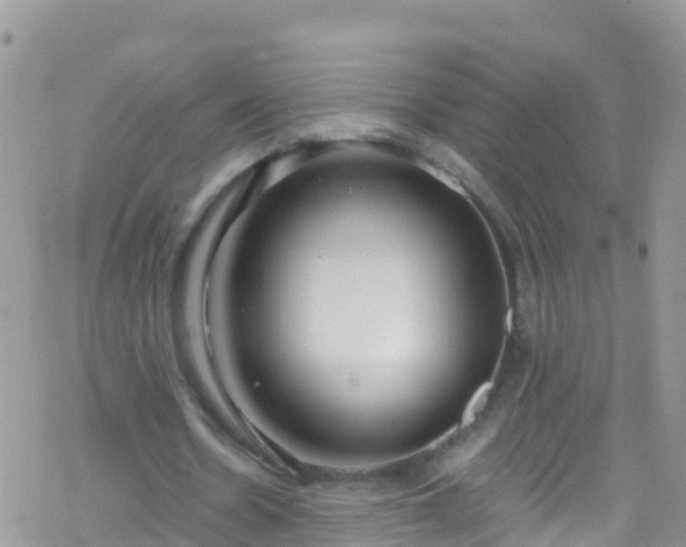 X0000069410530200605192306