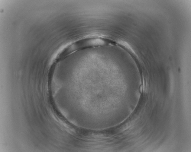 X0000069410531200605192306