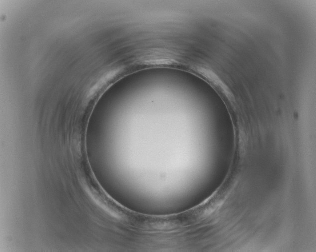 X0000069410533200605192306