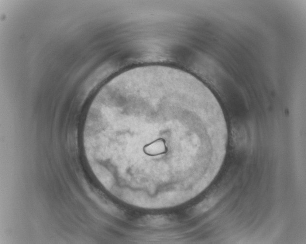 X0000069410534200605192306