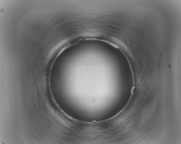 X0000069410535200605192306