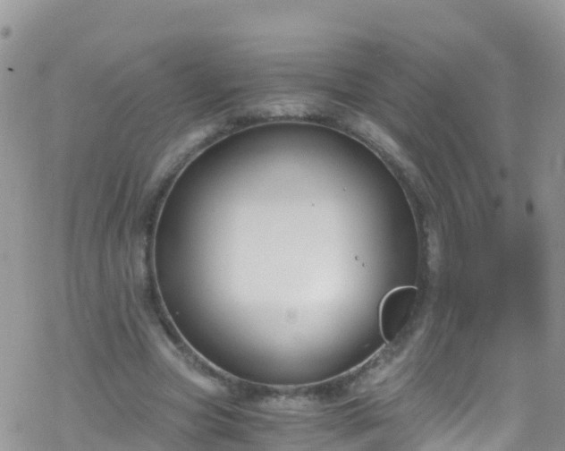 X0000069410537200605192306