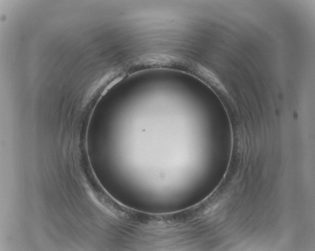 X0000069410538200605192306