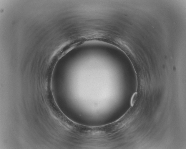 X0000069410539200605192306