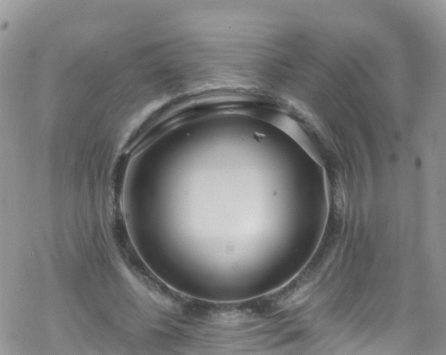 X0000069410540200605192306