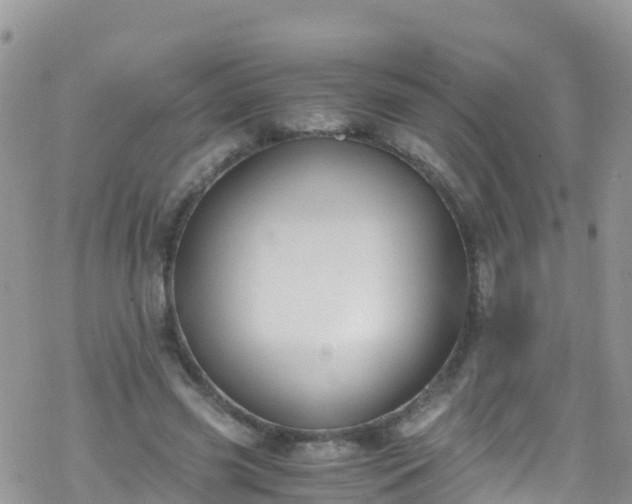 X0000069410541200605192306