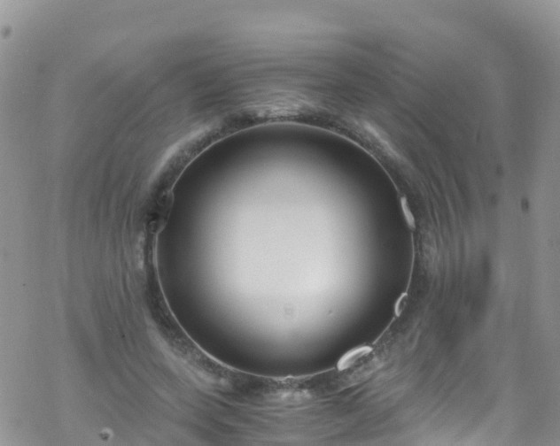 X0000069410543200605192306