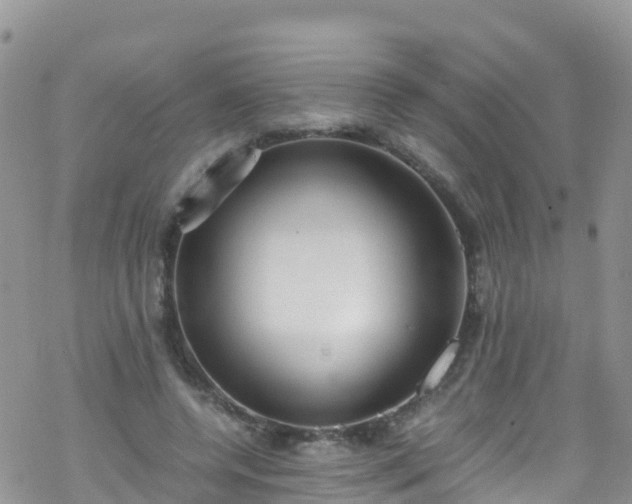 X0000069410544200605192306